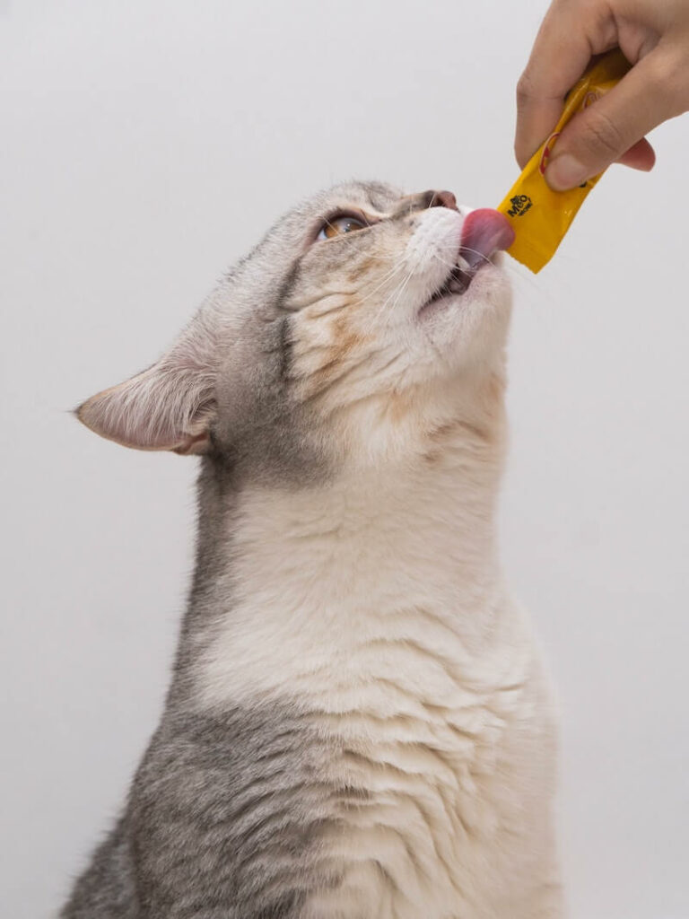 how to keep your cat's teeth clean without brushing - dental gel