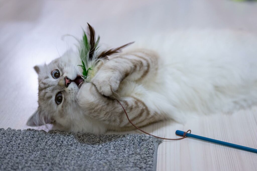 why do cats like strings - hunting instincts